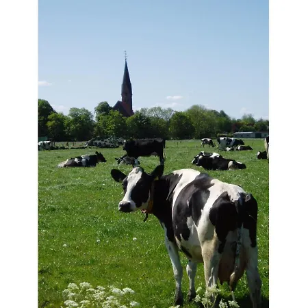 Hein Am Nordseedeich Apartman *