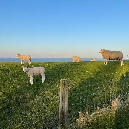 Hein Am Nordseedeich * Butjadingen