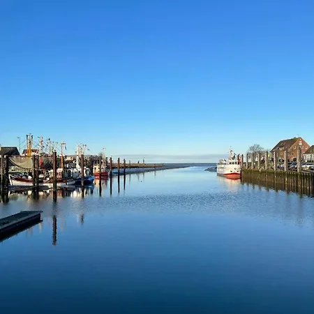 Hein Am Nordseedeich Apartment *
