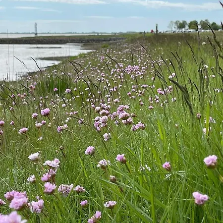Hein Am Nordseedeich Butjadingen