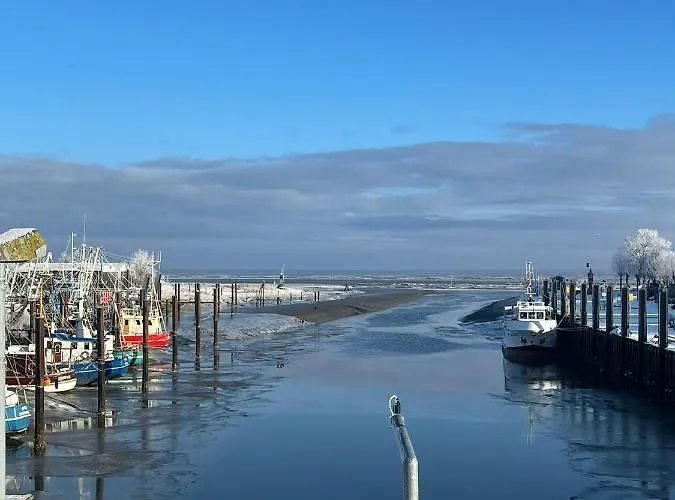 Hein Am Nordseedeich Butjadingen