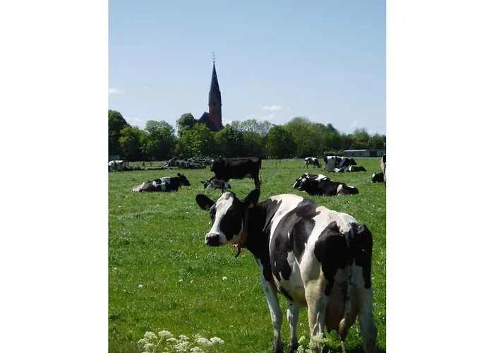 Hein Am Nordseedeich Appartement *