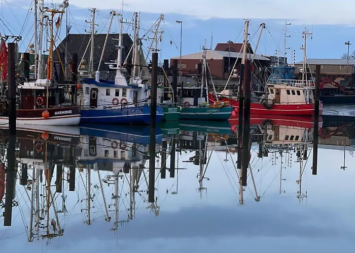 Hein Am Nordseedeich *