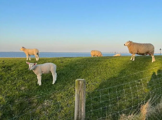 Hein Am Nordseedeich * Butjadingen